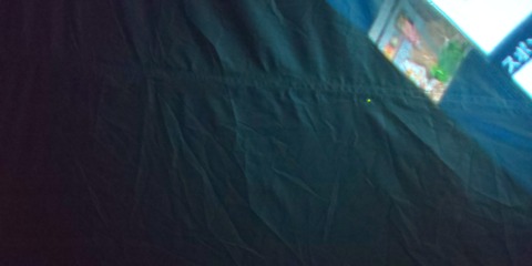 DSC_4000