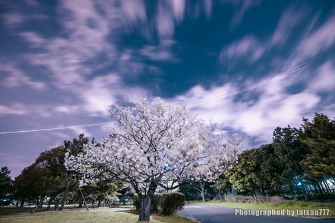 IMGP0070-2