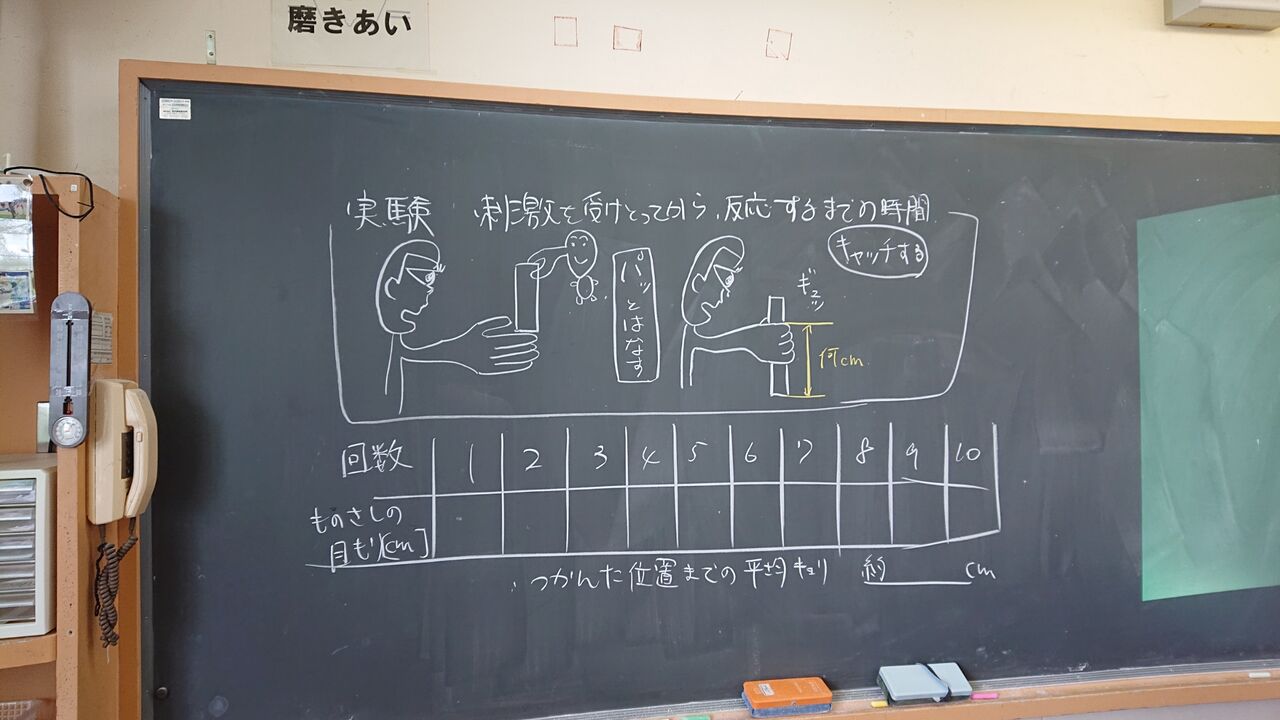 ３年生 刺激と反応 ３つのあい