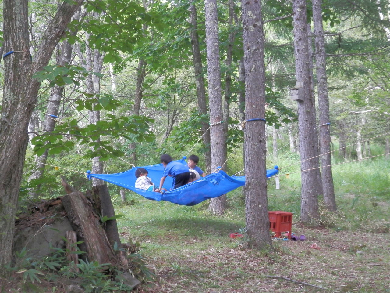 今日は晴れ たてしな白樺高原ユースホステル Tateshinayh