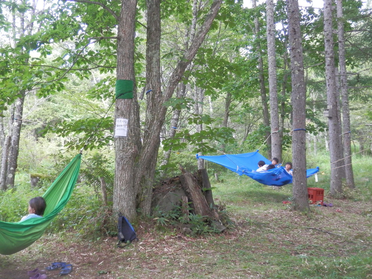 15年08月24日 Tateshinayh