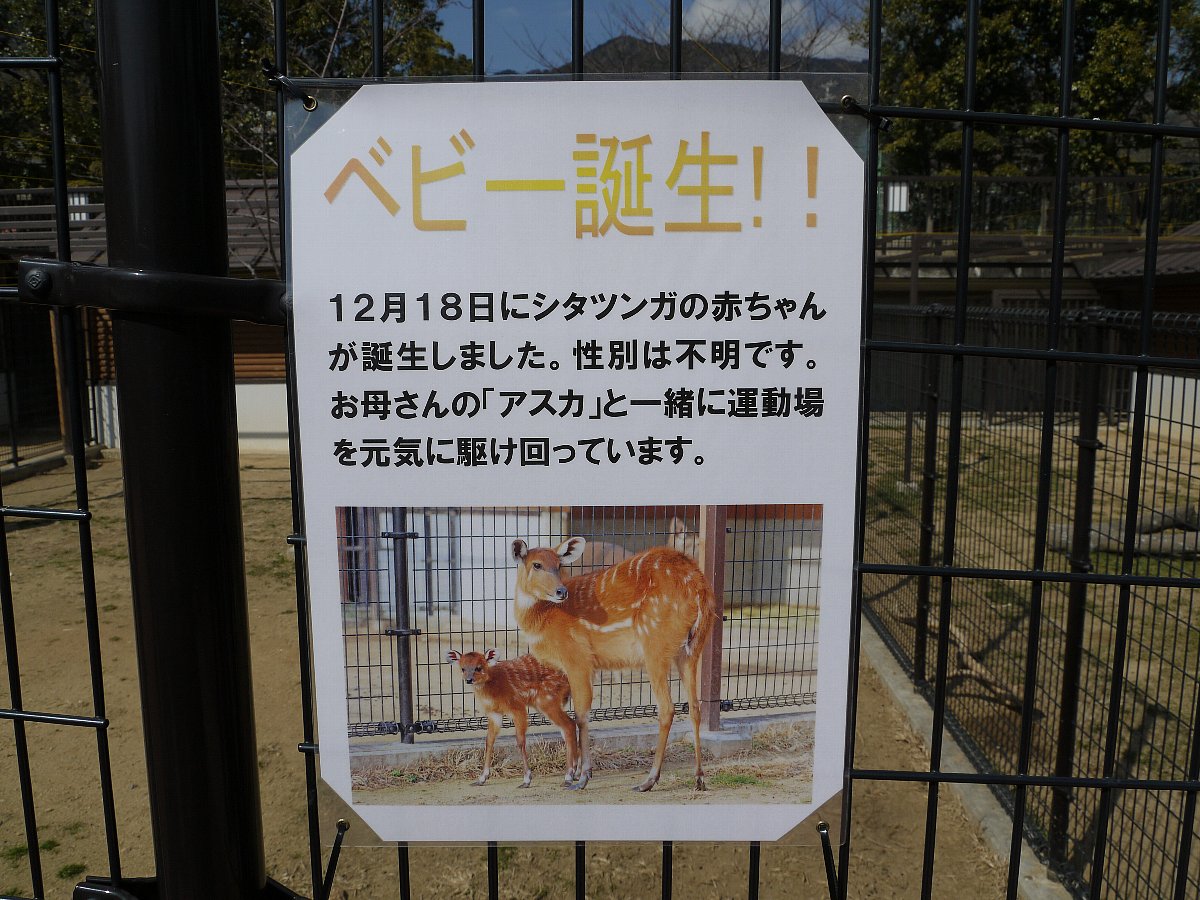 ウシ シタツンガ
