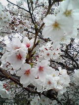 20080329144345