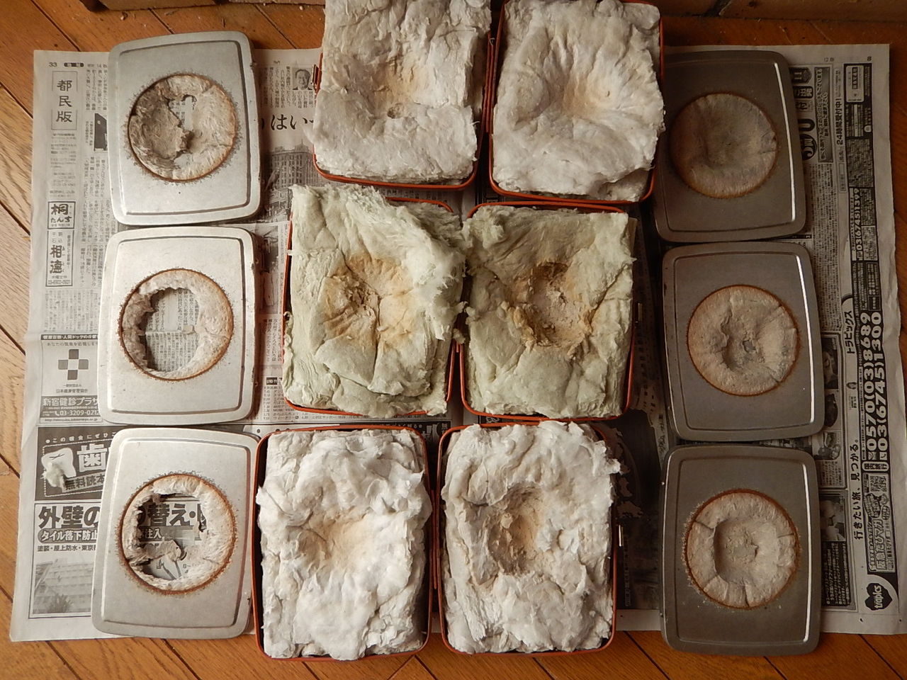 豆炭あんか、ピンチ！ : 野風草