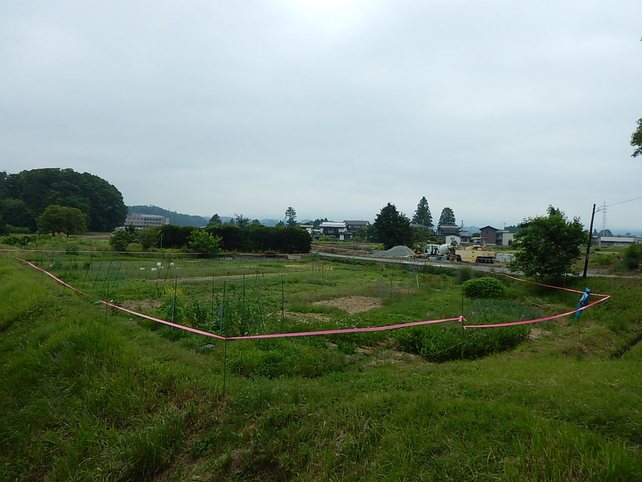 シカ避けのピンクのテープ設置 野風草