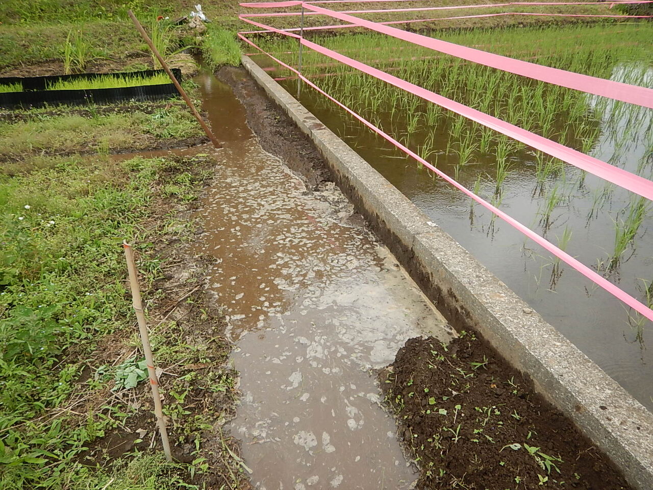 田んぼの水漏れ対策 排水口の整備 野風草