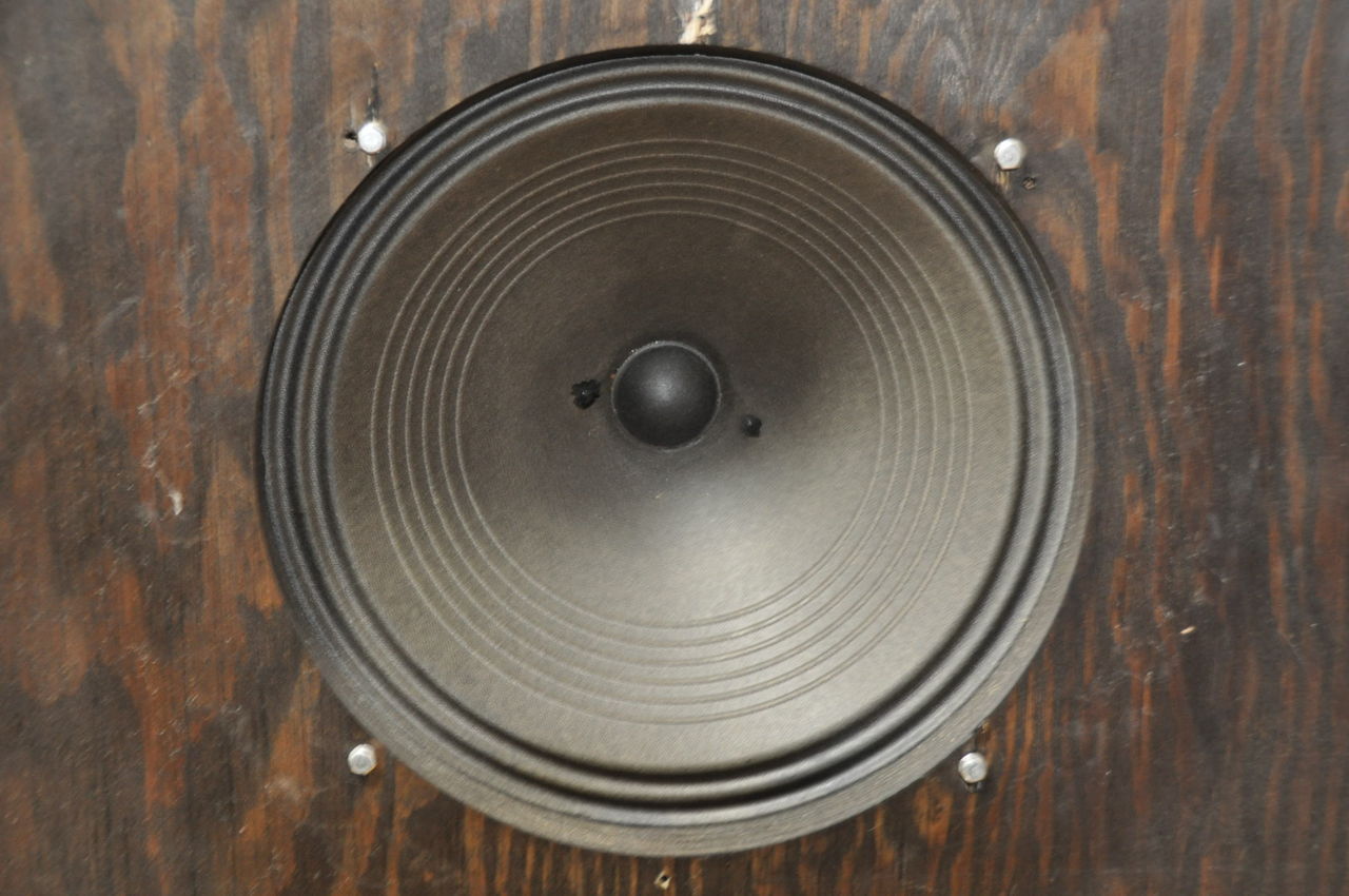 た*ん様 GRAETZ 8インチ 励磁型スピーカー た*ん様 GRAETZ 8インチ 励磁型スピーカー た*ん様 GRAETZ 8