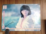 d87c53b3.jpg