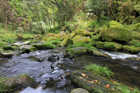 river