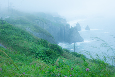 sea1