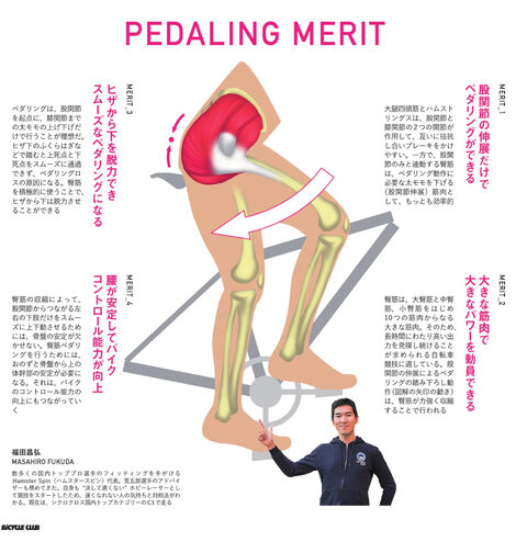 筋肉痛に学ぶ股関節ペダリング カレラとカンパでやってます 筋肉痛に学ぶ股関節ペダリング カレラとカンパでやってます