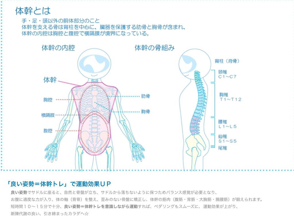 筋肉痛に学ぶペダリング 辿り着けばカンチェラーラ カレラとカンパでやってます 筋肉痛に学ぶペダリング 辿り着けばカンチェラーラ カレラとカンパでやってます