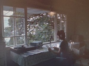 アフラックのcmのような家 建てようネット 徳島