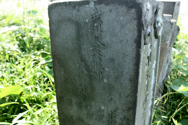 イメージ 14