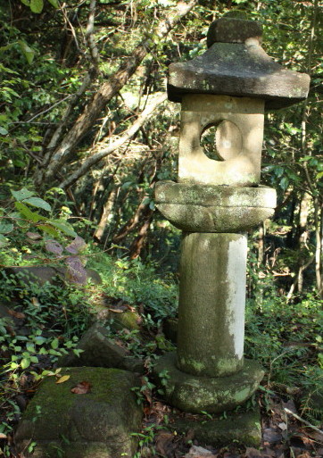イメージ 7