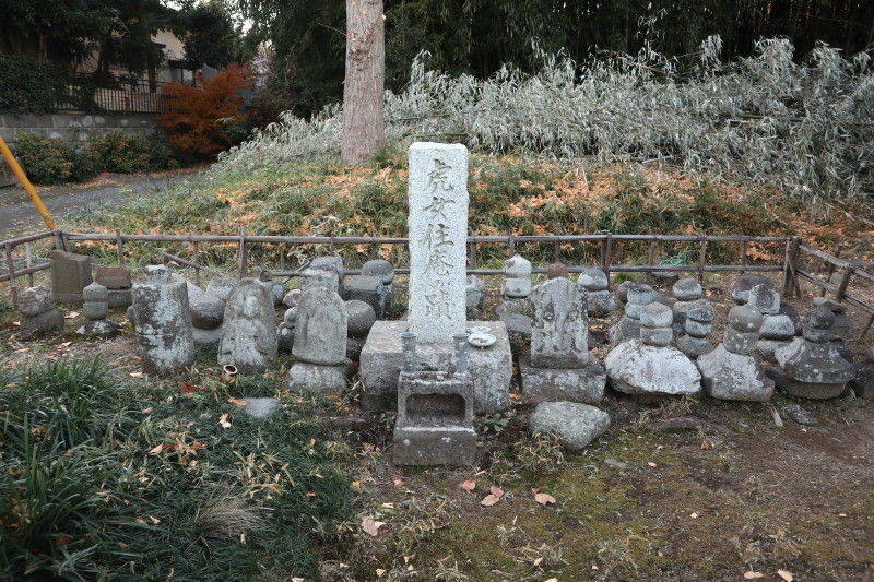 イメージ 2