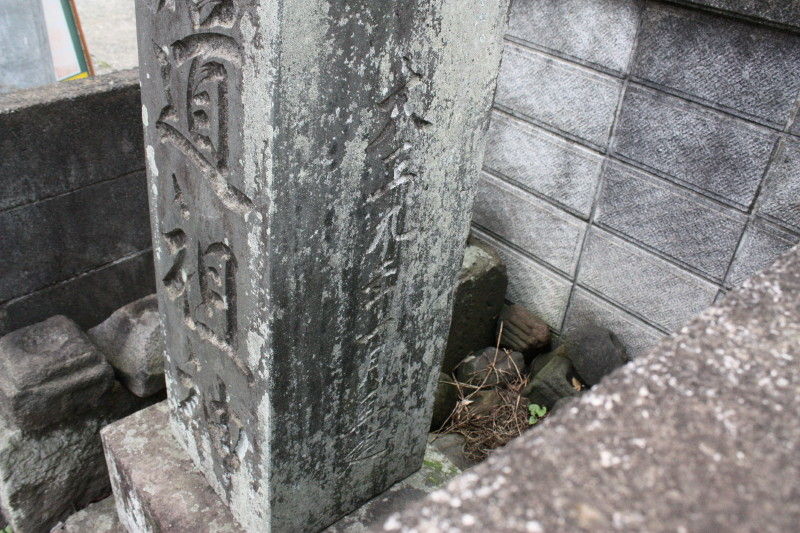 イメージ 5