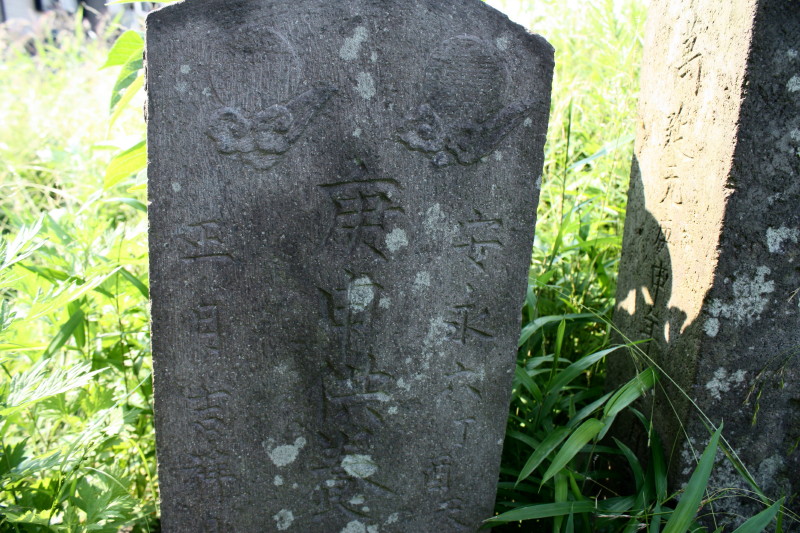 イメージ 21