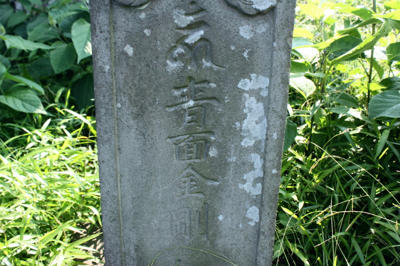 イメージ 13