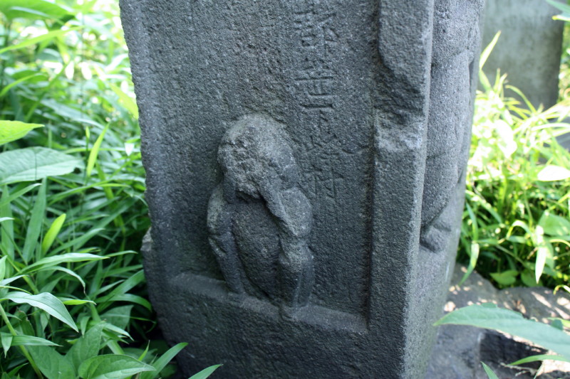 イメージ 10