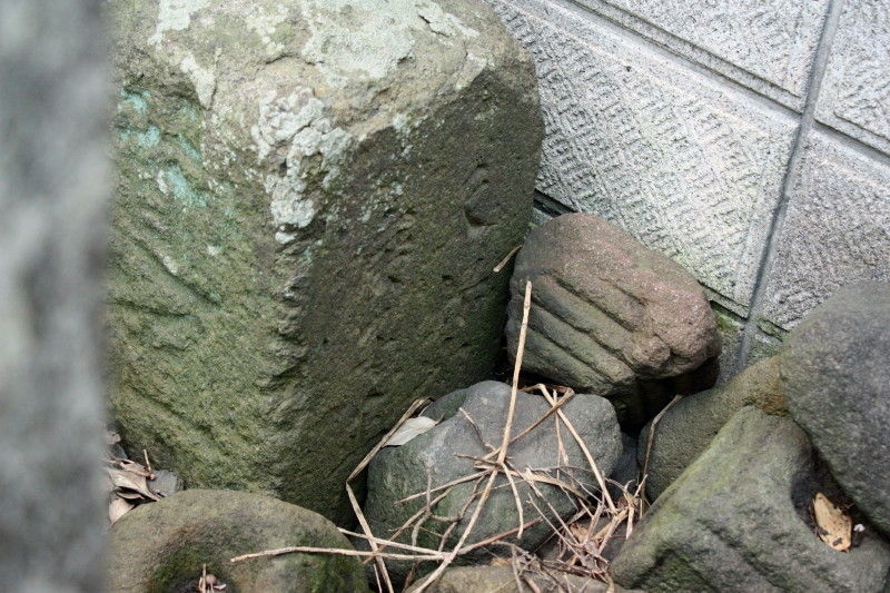 イメージ 7