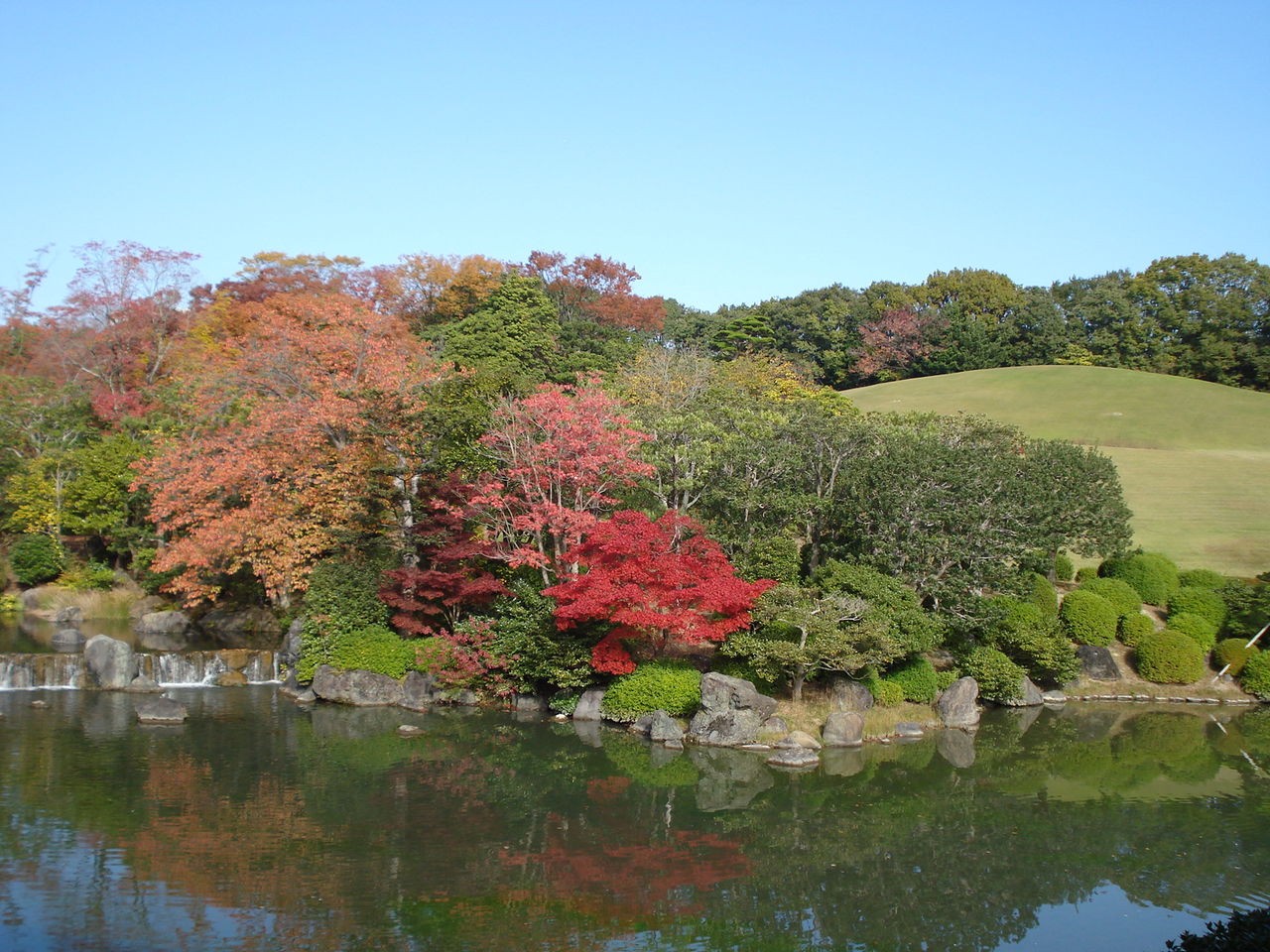 万博記念公園 日本庭園の紅葉 達庵の庭 万博記念公園 日本庭園の紅葉 達庵の庭