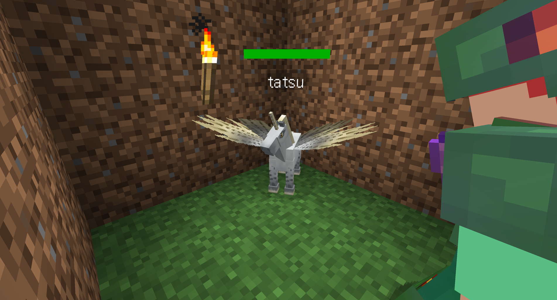 フェアリー馬を求めてpart2 たつサーバー