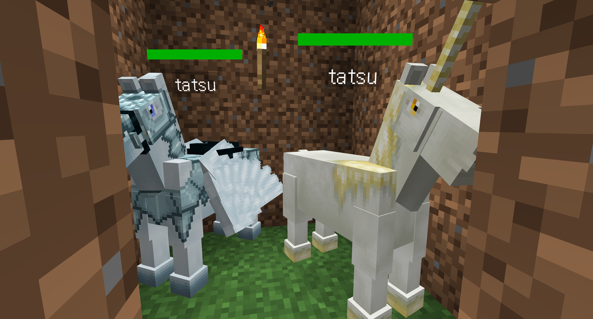 動物回 たつサーバー 動物回 たつサーバー