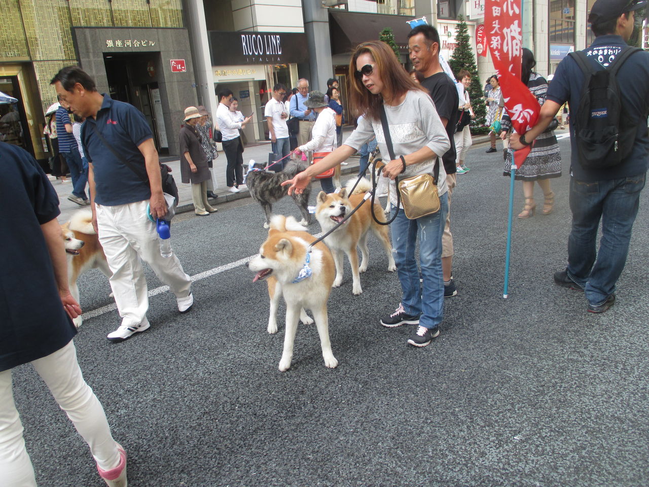 おそっ！ハチ公in銀座だより : 山田集落＝達人ブログ＝