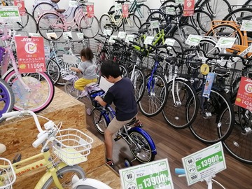 IMG_20191013_115036[2]