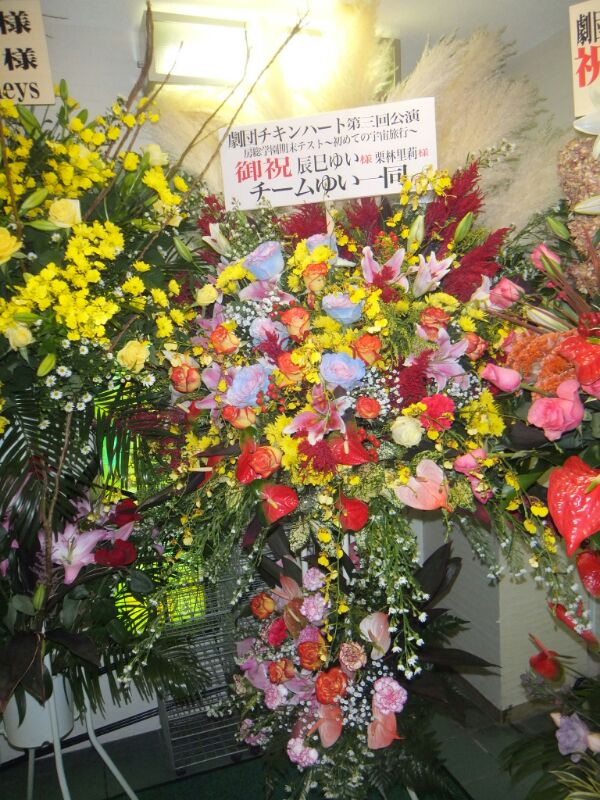 IMG_2012111048307