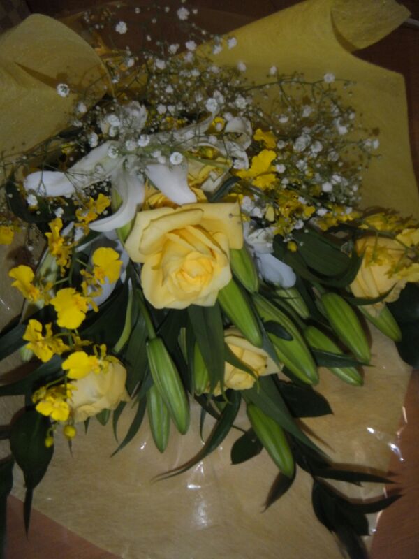IMG_201211105332
