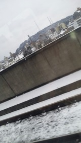 44293d9b.jpg