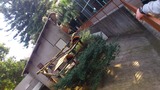 92a155ae.jpg