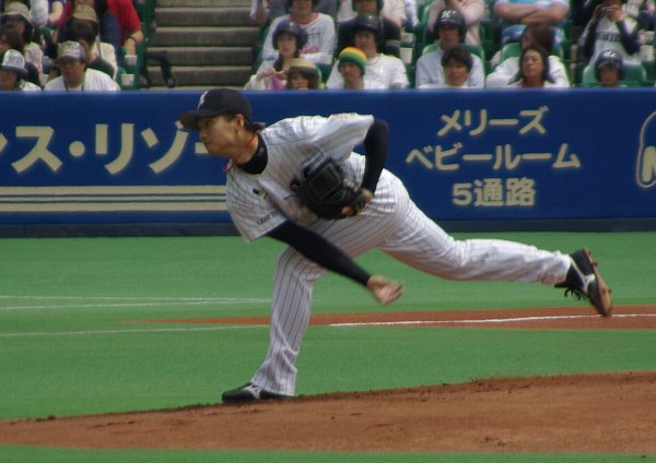 IMGP4060.jpg