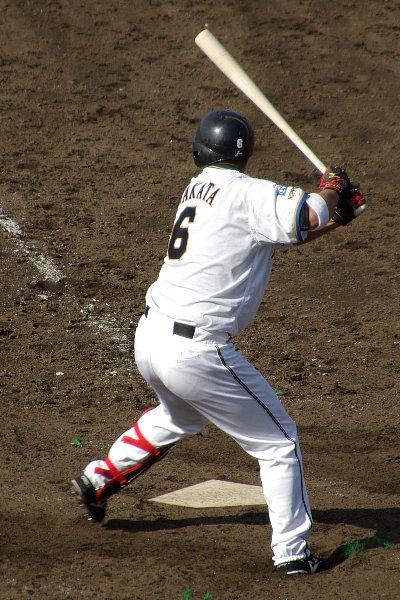 IMGP7117.jpg