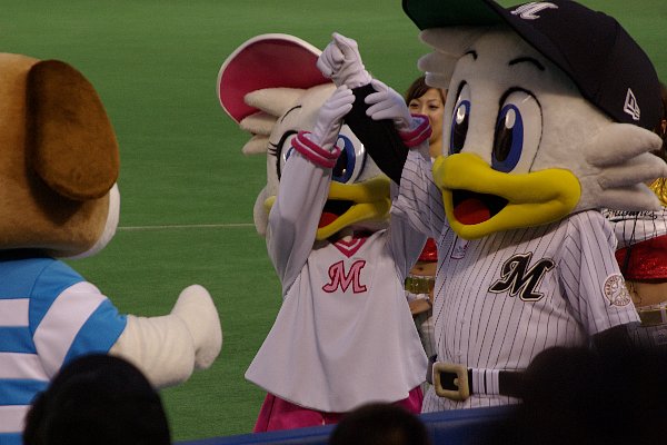 IMGP2535.jpg