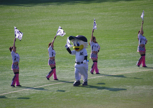 IMGP6623.jpg