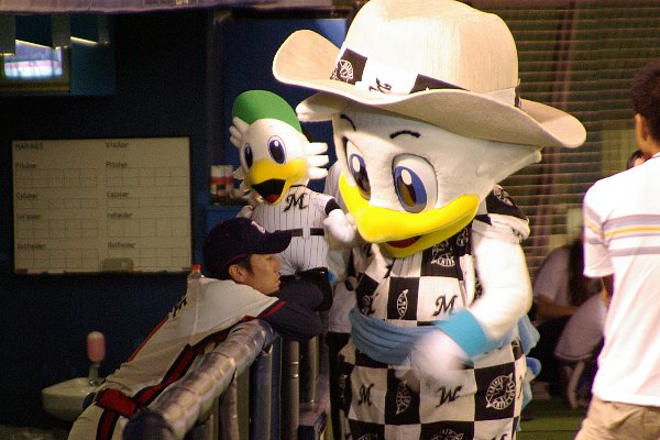 IMGP1995.jpg