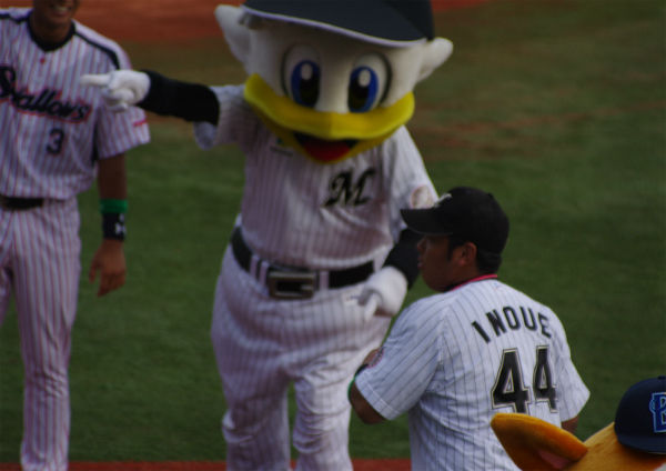 IMGP3937.jpg