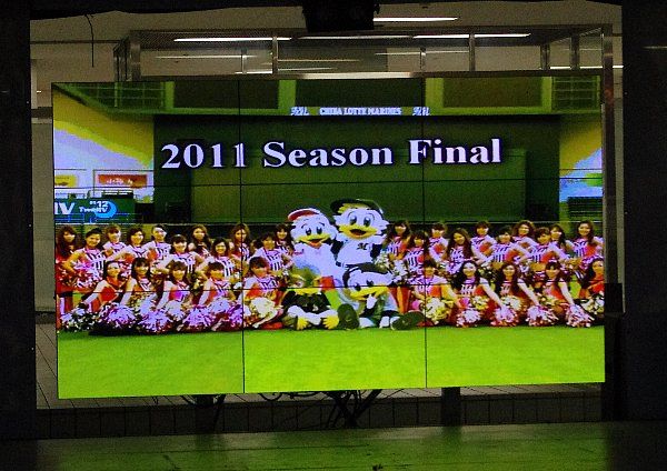IMGP7142.jpg