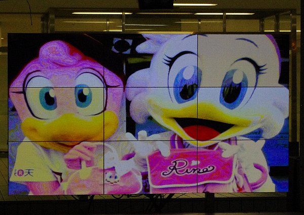 IMGP7157.jpg