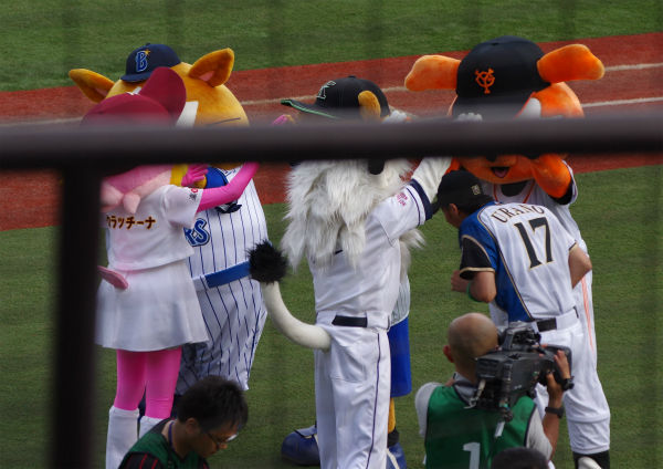 IMGP3923_201408171020365c8.jpg
