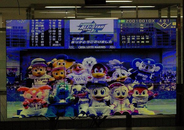 IMGP7170.jpg