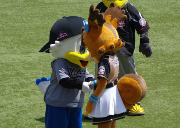 IMGP8248