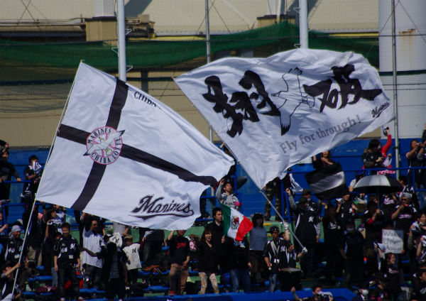 IMGP8778_20140329231144860.jpg