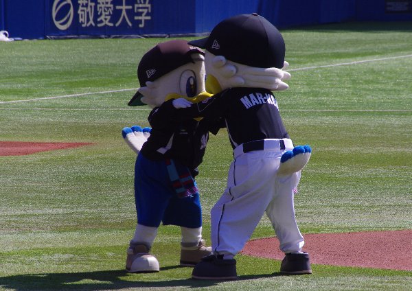 IMGP6826_20131023224556db8.jpg