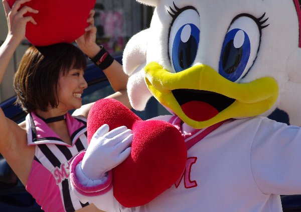 IMGP3550_20121109215604.jpg