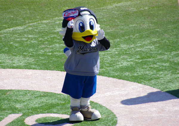 IMGP4888_20140322230134425.jpg