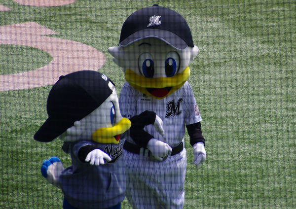 IMGP2850_2014032113590472a.jpg